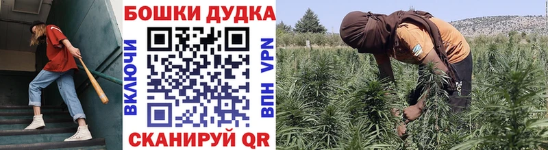 Купить наркотики сайты Великие Луки Гашиш  Альфа ПВП  Мефедрон  Cocaine 