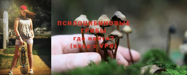 скорость Белокуриха