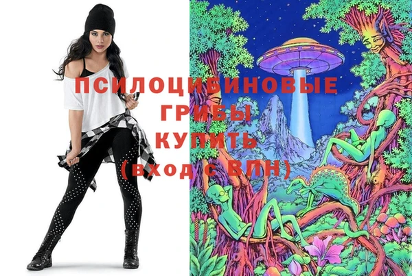стафф Балахна