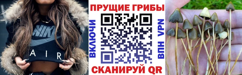 Псилоцибиновые грибы мухоморы  Великие Луки 